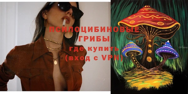 apvp Балахна