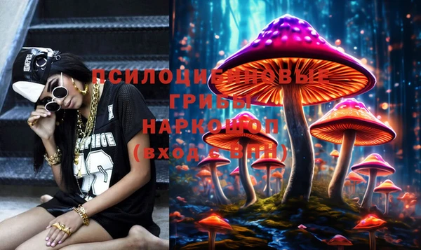 mdpv Баксан