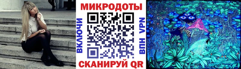 дарк нет официальный сайт  Нерюнгри  Псилоцибиновые грибы мухоморы  omg ССЫЛКА 
