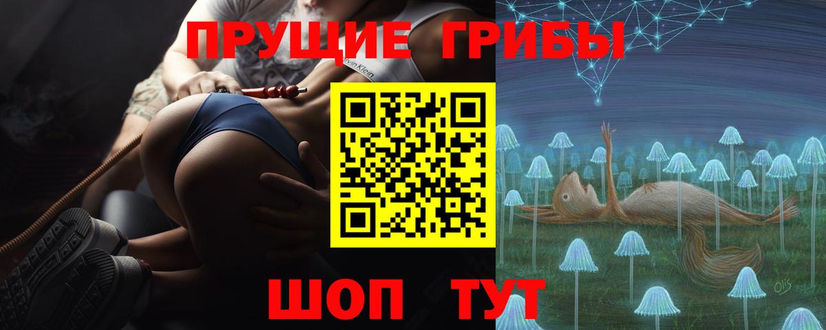 Нерюнгри  Галлюциногенные грибы MAGIC MUSHROOMS  Вход с VPN  Псилоцибиновые грибы GOLDEN TEACHER 